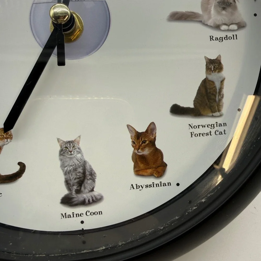 Cat Breeds Wall Clock Black Analog Quartz Feline Pet Lover 8 Inch WORKS
